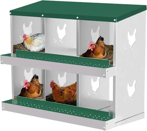 Legenest Hühner Legebox 6 Fächer Verzinkter Stahl Grün